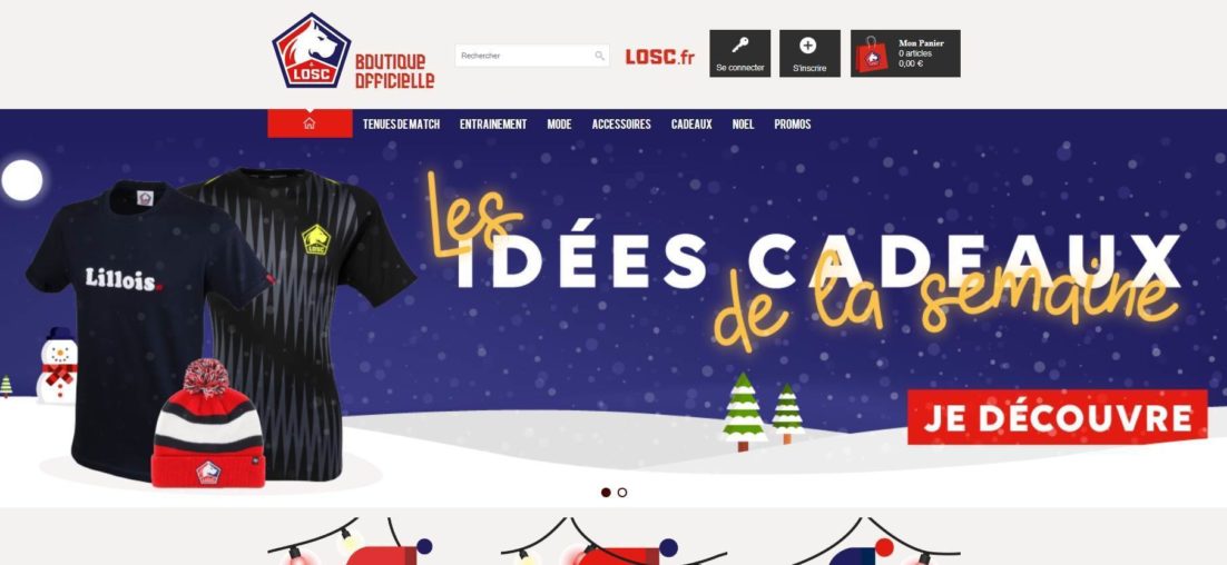 Aperçu du site web Losc
