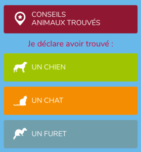 Formulaire Animal perdu