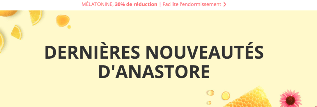 Aperçu du site web Anastore
