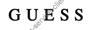 logo guess