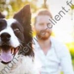 Image d'illustration représentant un chien et ses maîtres