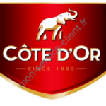 Logo cote d'or