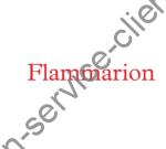 Logo Flammarion