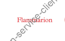 Logo Flammarion