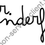Logo Mr Wonderful