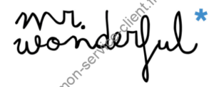 Logo Mr Wonderful