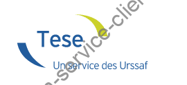 TESE Urssaf