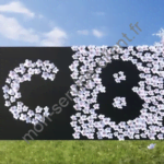 Logo chaîne C8