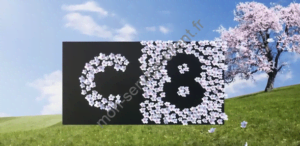 Logo chaîne C8
