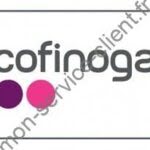 logo Cofinoga
