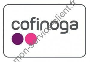 logo Cofinoga