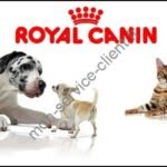 royal-canin-1