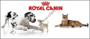royal-canin-1