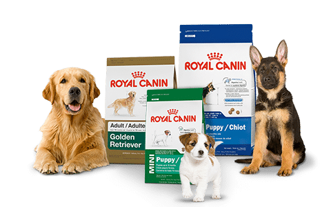 royal-canin