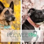 Aperçu du site web Peeweepaw