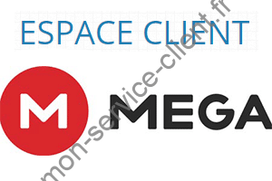Mega.nz : Se connecter à mon compte en ligne Mega