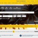 Aperçu du site web de Expedia