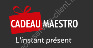 Logo Cadeau Maestro