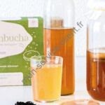 Exemple de produits disponibles sur orisae. ici un kit kombucha