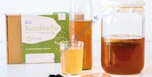 Exemple de produits disponibles sur orisae. ici un kit kombucha
