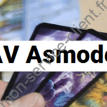 SAV Asmodee