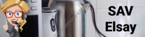 SAV Elsay