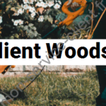 Service Client Woodstar