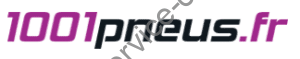 Logo 1001pneus