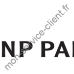 logo bnp