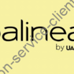 Logo officiel de la marque Balinea