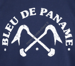 Logo bleu de paname