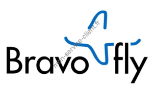 Logo Bravofly