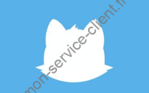 Logo Cleanfox