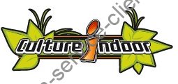 Logo Culture Indoor