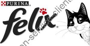 purine-felix