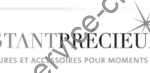 Logo Instant Precieux