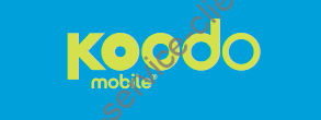 logo koodoo