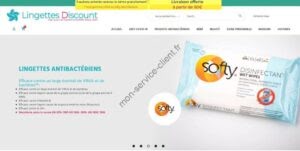 Aperçu du site web Lingettes discount
