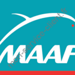 logo la maaf