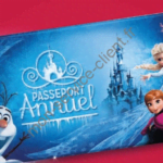 Passeport disneyland
