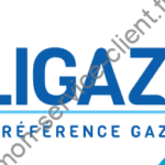 logo qualigaz