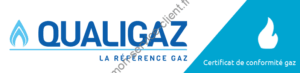 logo qualigaz