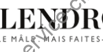 Logo Solendro