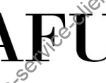 logo zaful