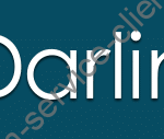 logo eDarling