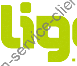 Logo liligo.com