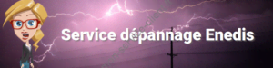 Service dépannage Enedis
