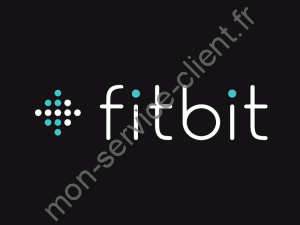 logo-fitbit