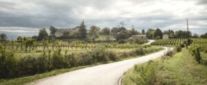 Vignerons Charmvermeil