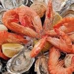 Image d'huîtres et de crevettes